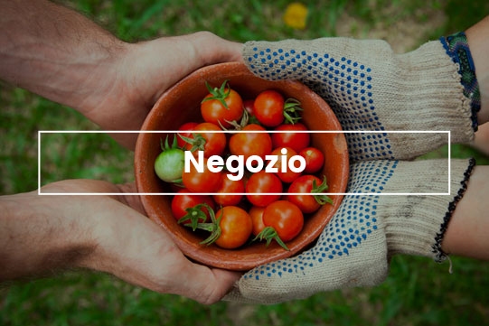 negozio