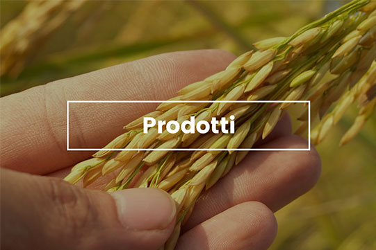 prodotti