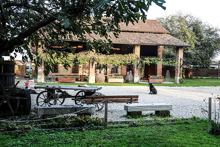 CASCINA SELVA